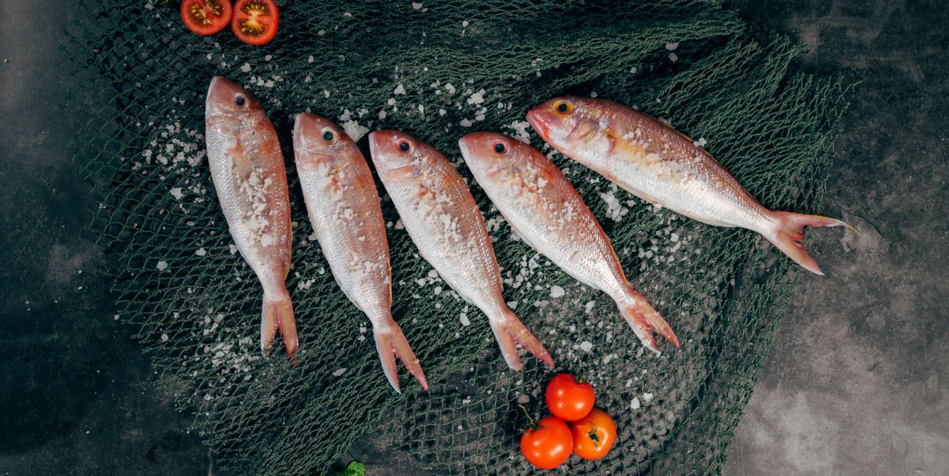 Import, dystrybucja i eksport mrożonych ryb - HELO.FISH