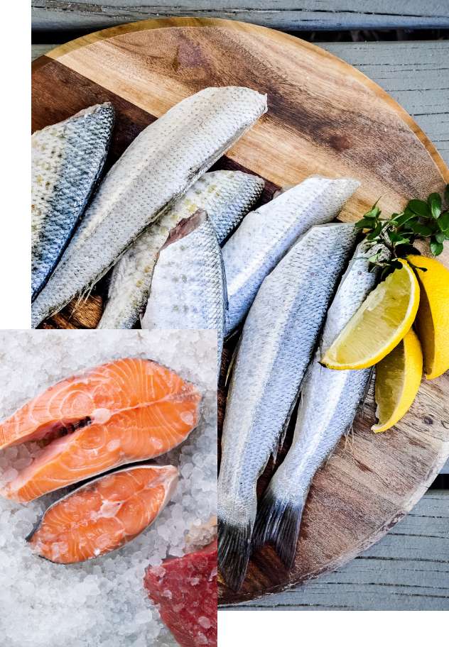 Import, dystrybucja i eksport mrożonych ryb - HELO.FISH