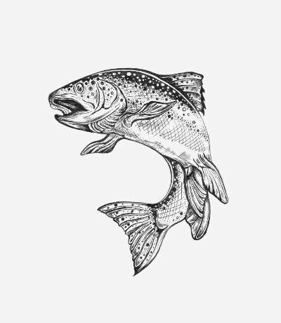 sprawdzona i zaufana baza dostawców - Import, dystrybucja i eksport mrożonych ryb - HELO.FISH